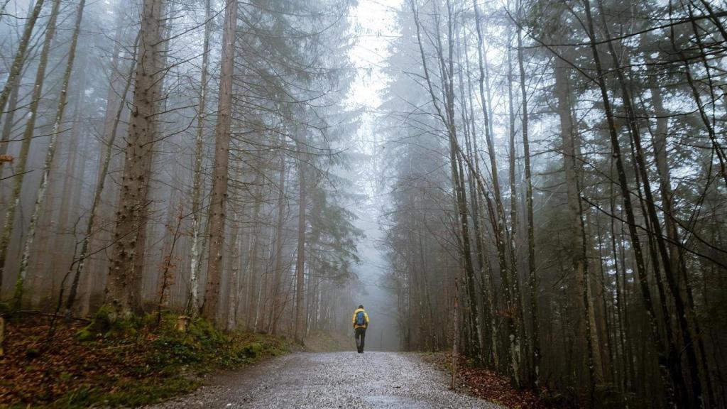 Personas en un paisaje natural.