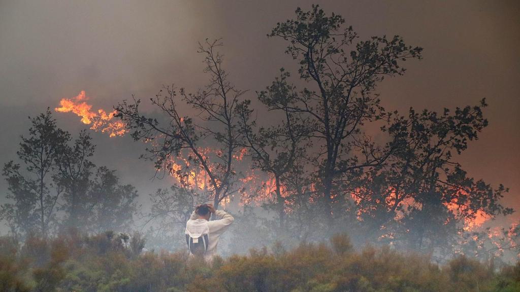 Las llamas alcanzan las colmenas de Filiel