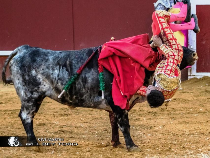 Imagen de la cogida a Diosleguarde en Cuéllar