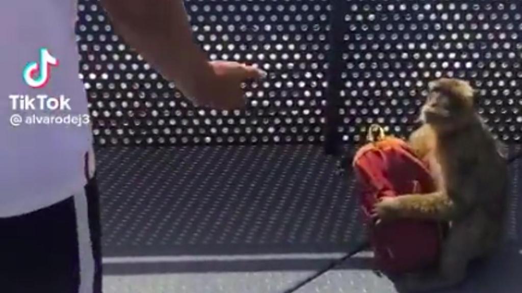Captura del vídeo que se ha hecho viral.