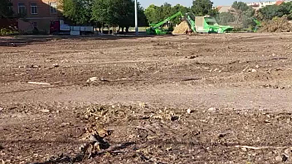 El solar de Ciudad Real donde han sido talados más de 50 árboles.