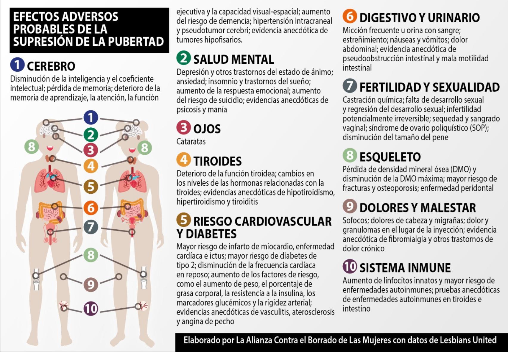 Infografía realizada a partir de los 300 estudios científicos.