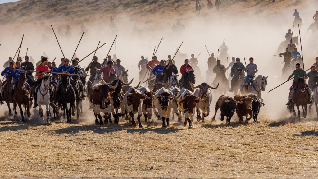 Los caballistas consiguen bajar a los toros por el embudo en formación de herradura.
