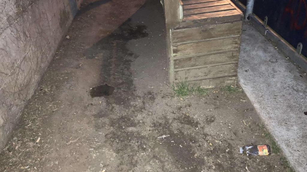 Alrededores de la pista deportiva del parque de Santa Margarita