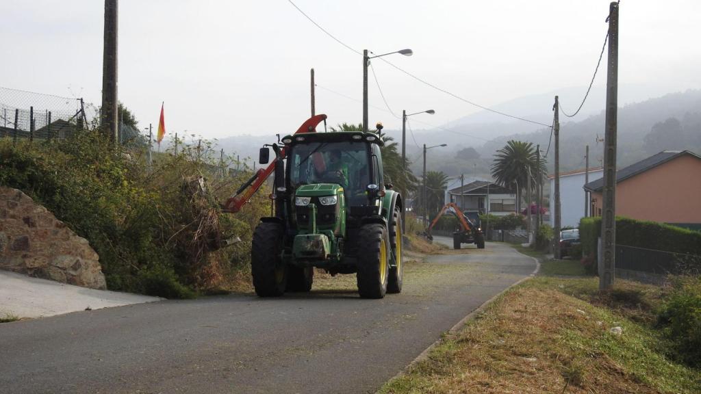 Trabajos de desbroce