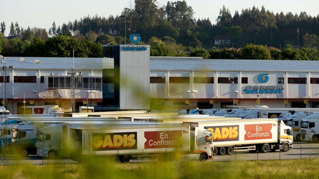 Resultados de Gadisa Retail