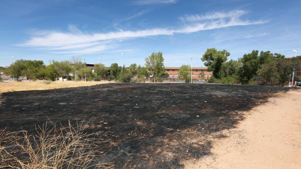 Foto: Óscar Huertas