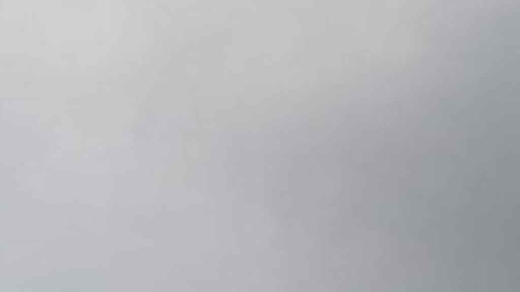 Macarena Olona, a su llegada a la plaza del Obradoiro en Santiago de Compostela.