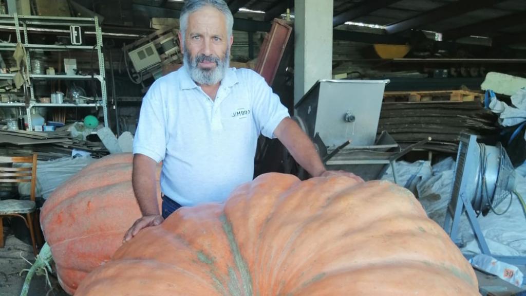 Manuel Ramos junto a sus calabazas gigantes
