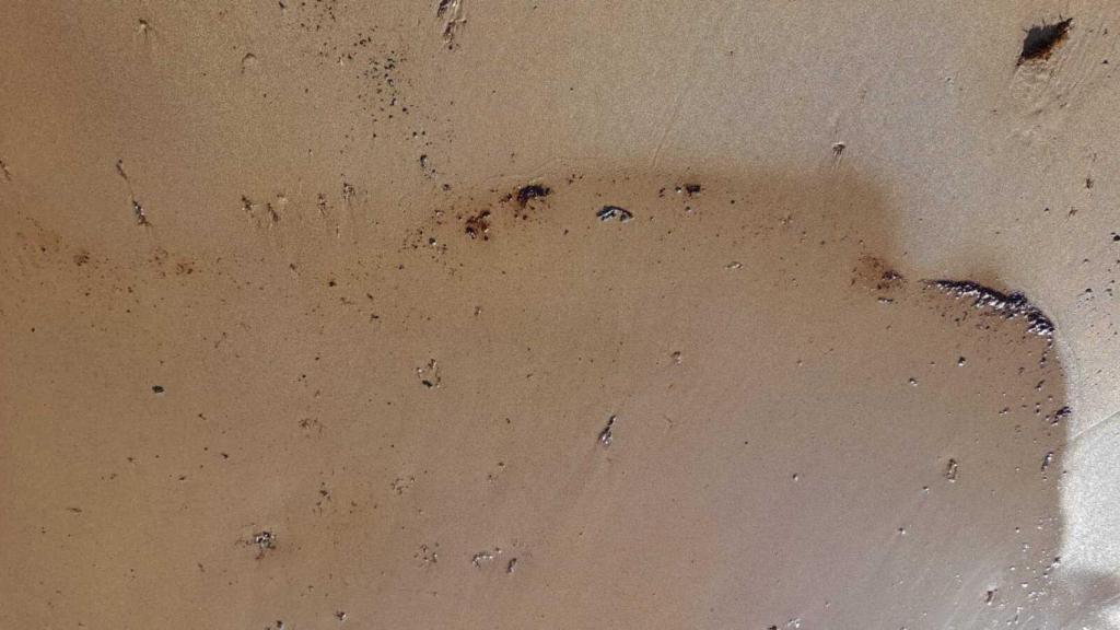 El petróleo en la arena de Sandy Bay.