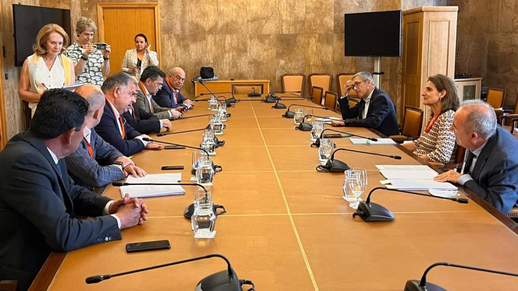 La ministra Teresa Ribera y el presidente del Scrats, Lucas Jiménez, en una reunión de trabajo en Madrid, junto a miembros de sus respectivos equipos.