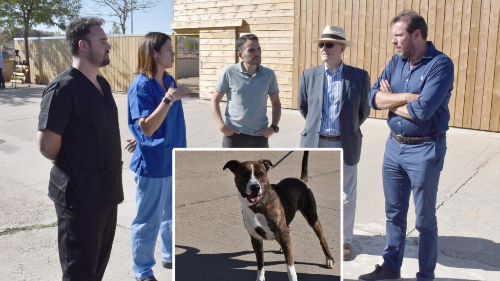 Visita del alcalde al Centro de Protección Animal de Valladolid