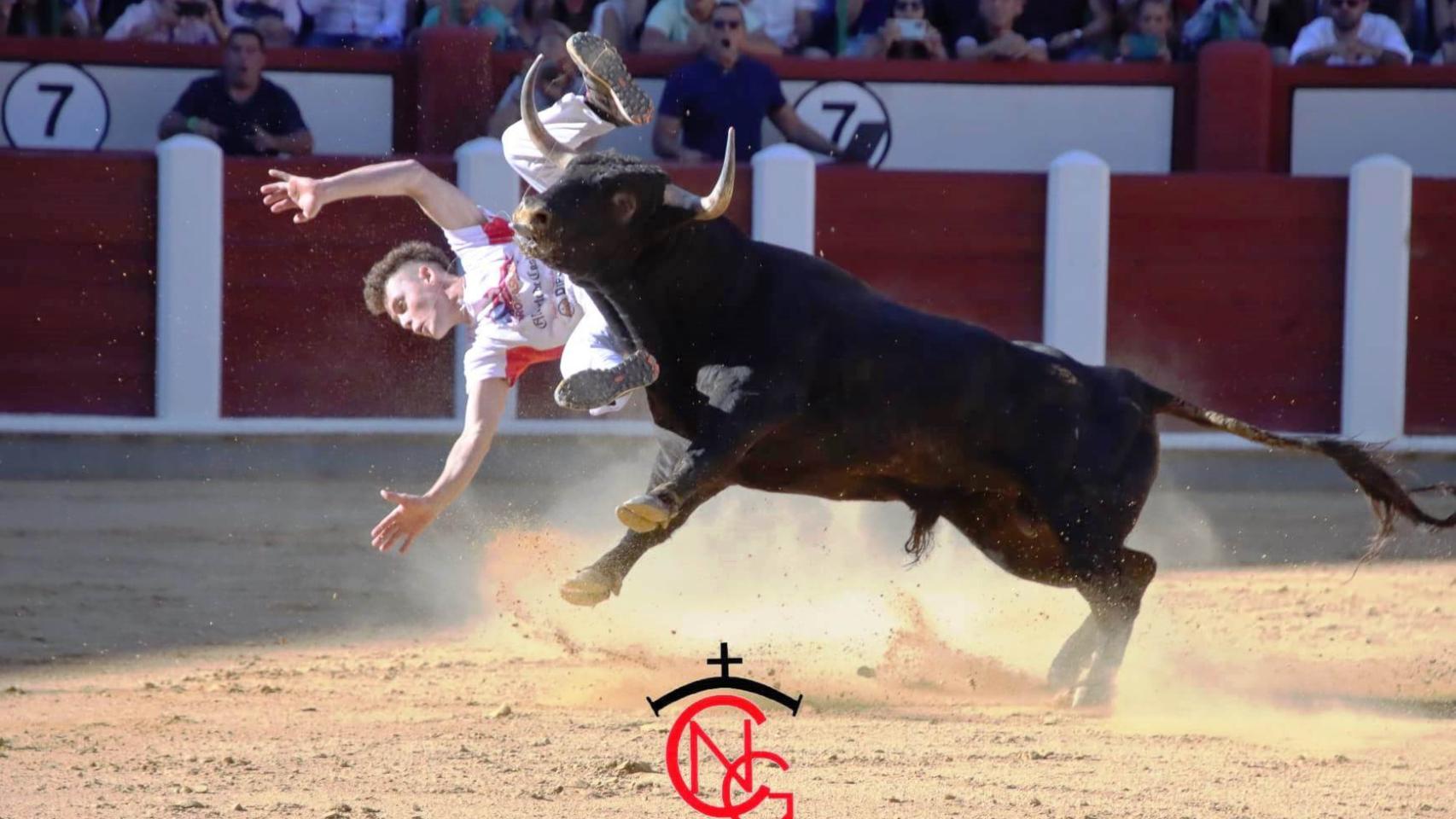 Concurso de Cortes en Valladolid