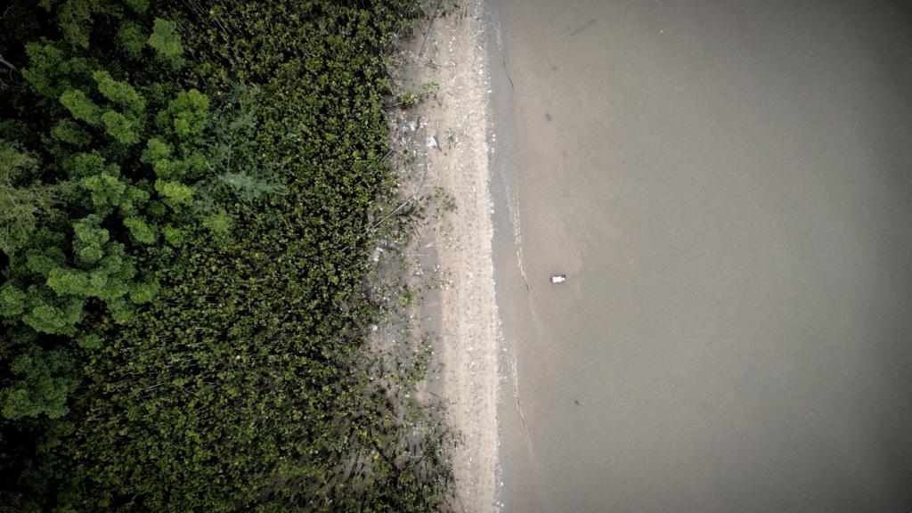 La deforestación en Brasil.