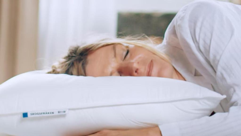 Almohada Ikea