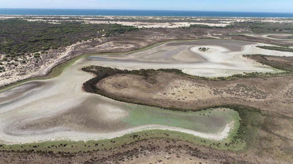 Vista aérea de la laguna permanente de Santa Olalla, ahora seca, en Doñana.