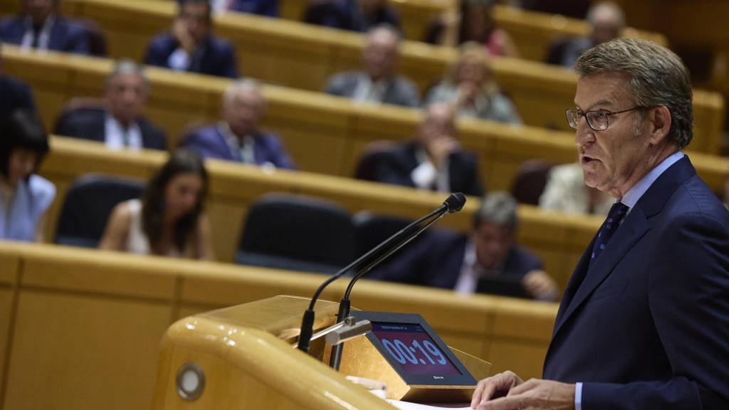 El presidente del Partido Popular, Alberto Núñez Feijóo, interviene durante el debate en el Senado.