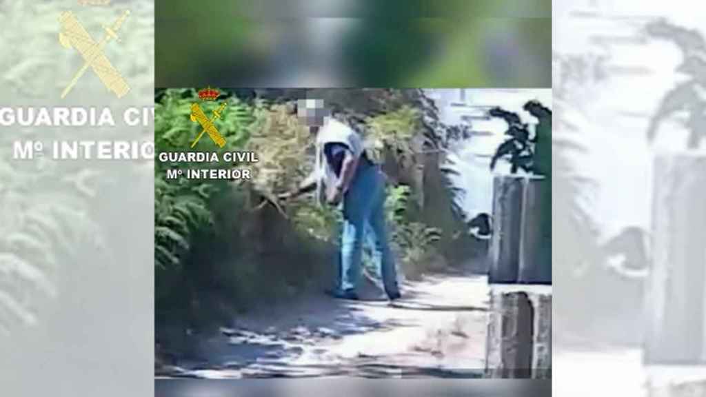 Vídeo: Detenido en Nigrán (Pontevedra) por provocar presuntamente un incendio forestal