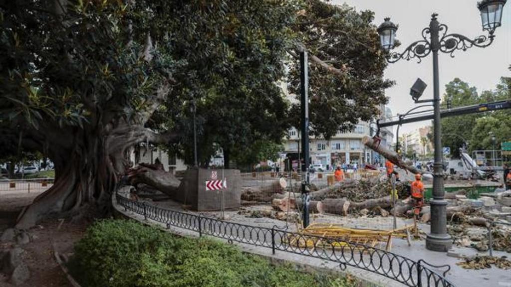 Otra imagen del incidente.