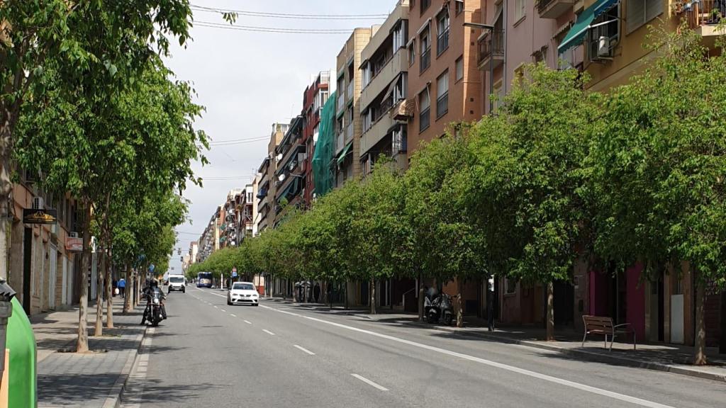 El Ayuntamiento de Alicante presentará las ofertas de trece empresas que optan a las obras millonarias.