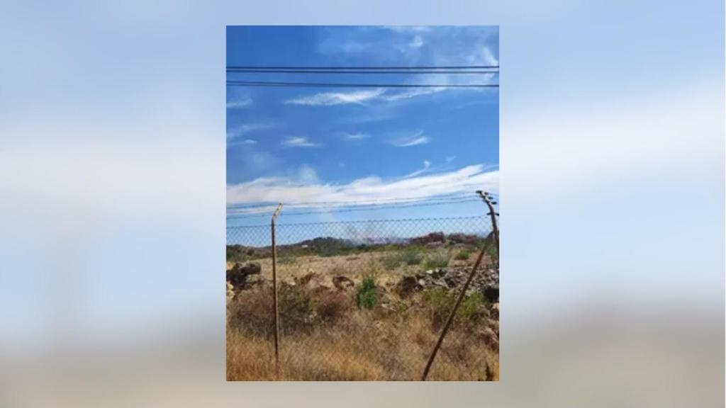 Incendio en el paraje de Elviria, en Marbella.