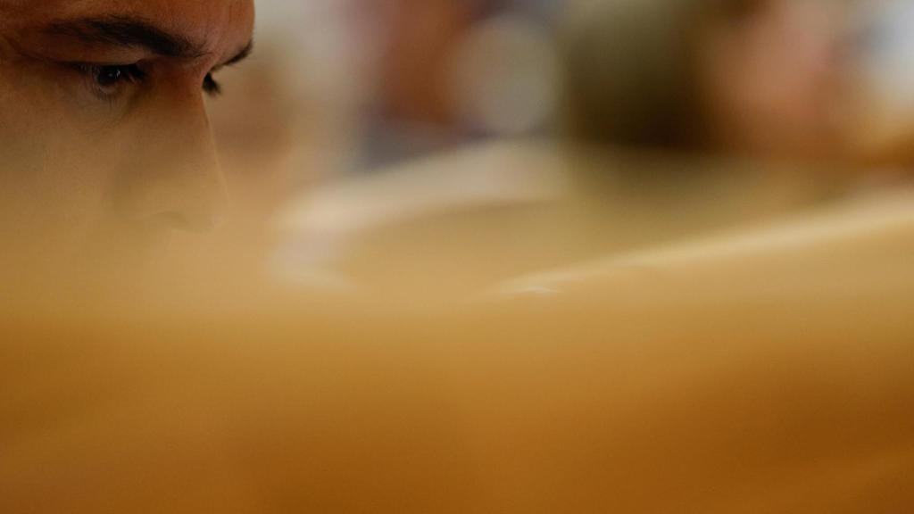 Pedro Sánchez, en el Senado.