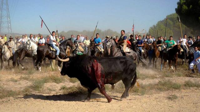 Toro de la Vega.