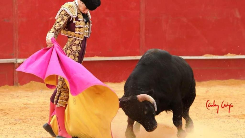 Pedro Andrés en un verónica