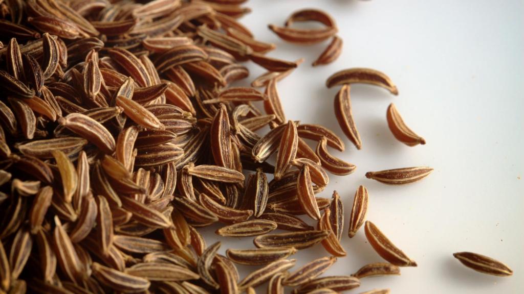 Aunque no se trata de la misma especie, su aspecto es similar al del comino.