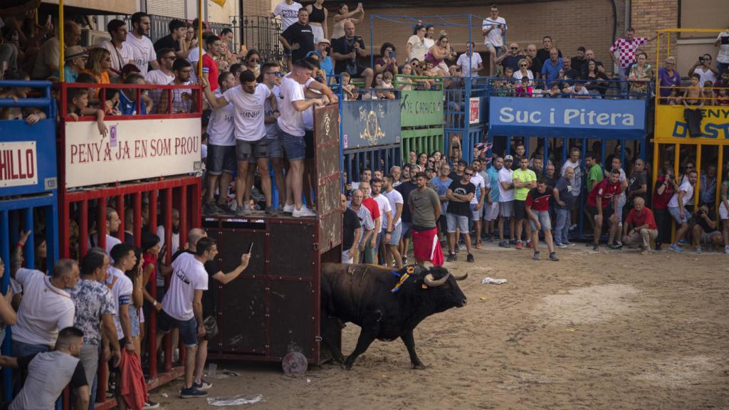 Los Bous al carrer, en la imagen en las fiestas de l'Alcora, debaten sus medidas de seguridad.