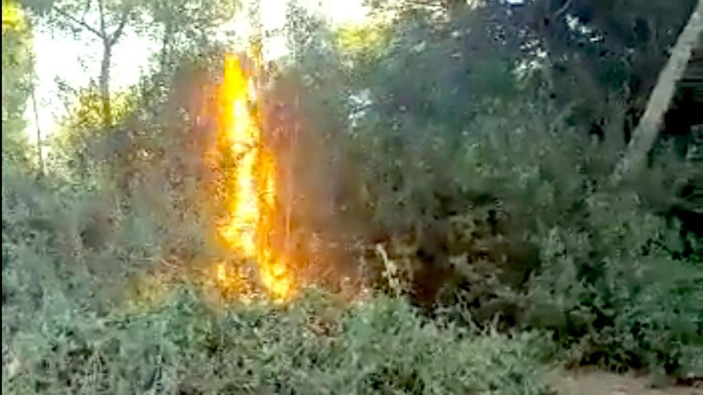 Detalle del vídeo publicado por el concejal de Vox sobre el conato de incendio en El Saler.