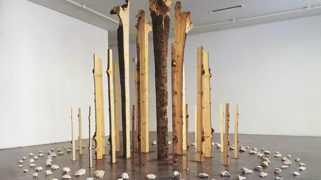 'Sin título', 1992. ©Adolfo Schlosser. Cortesía Galería Elvira González