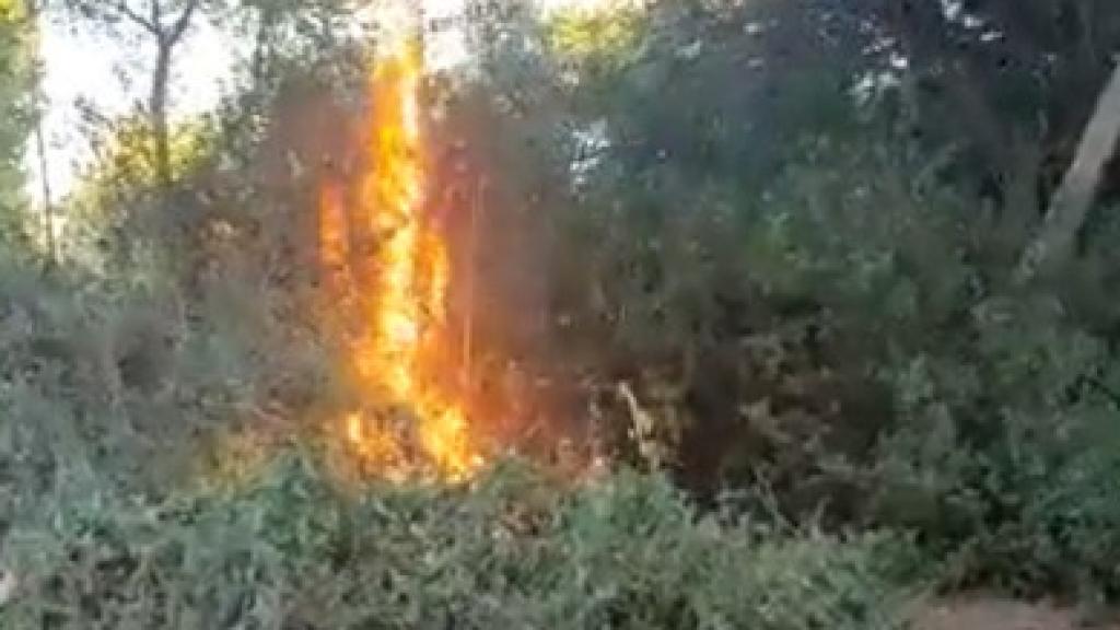 Vídeo del incendio subido por el concejal.