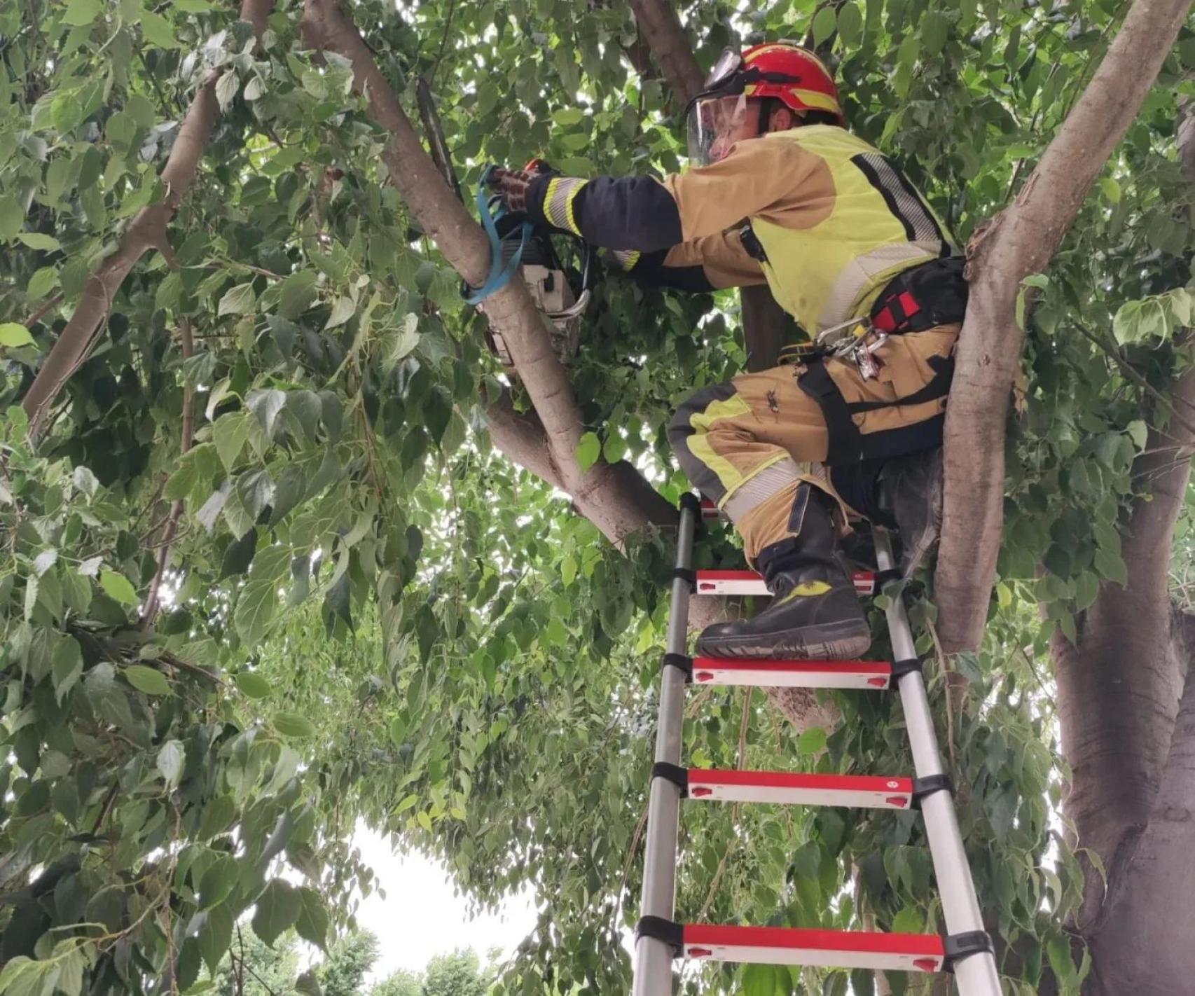 Foto: Bomberos de Toledo.