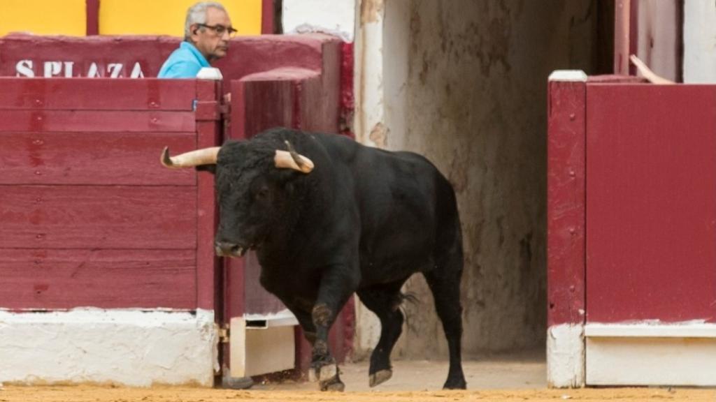 'Limpiador', este lunes, a su salida al coso taurino de La Condomina en Murcia.