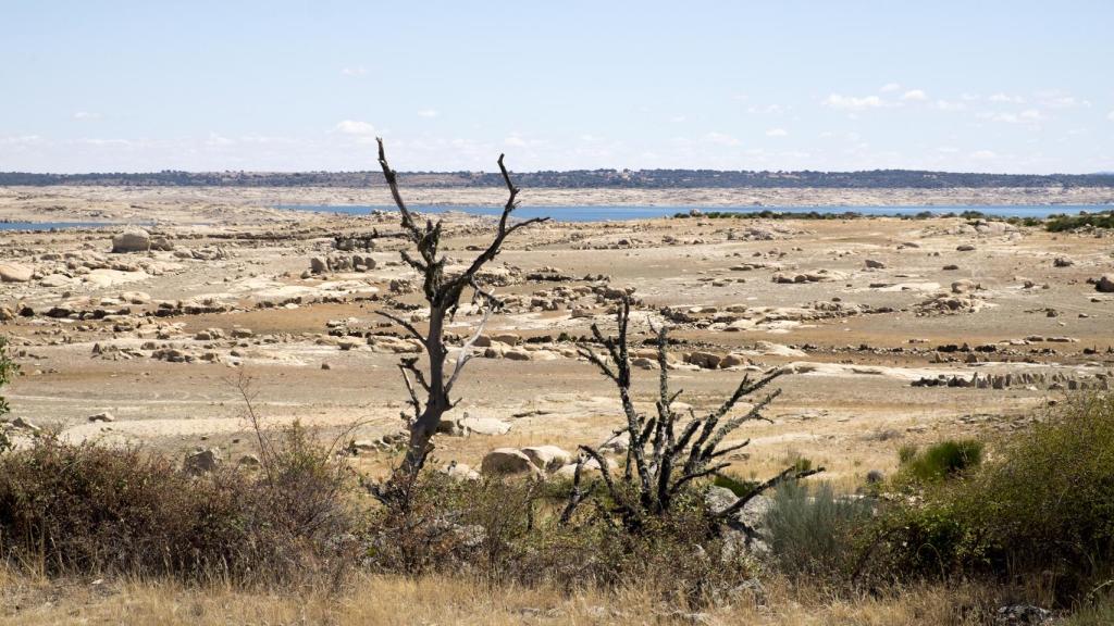 Estado que presentaba hace un par de semanas el embalse de Almendra en Salamanca