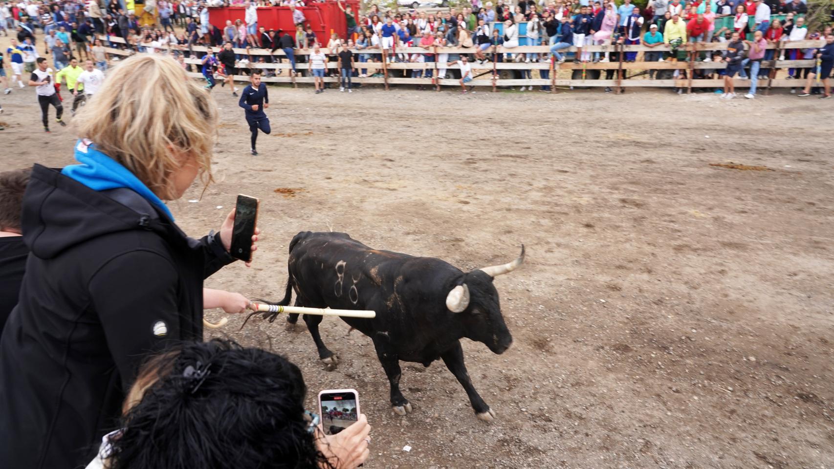 Encierro del Toro de la Vega en Tordesillas