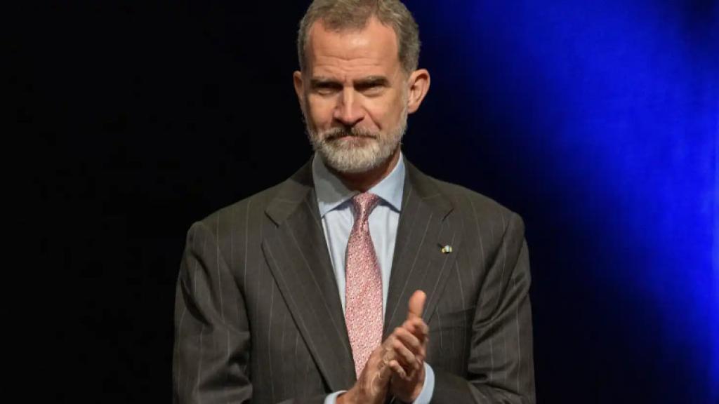 Rey Felipe VI. Foto: Europa Press.