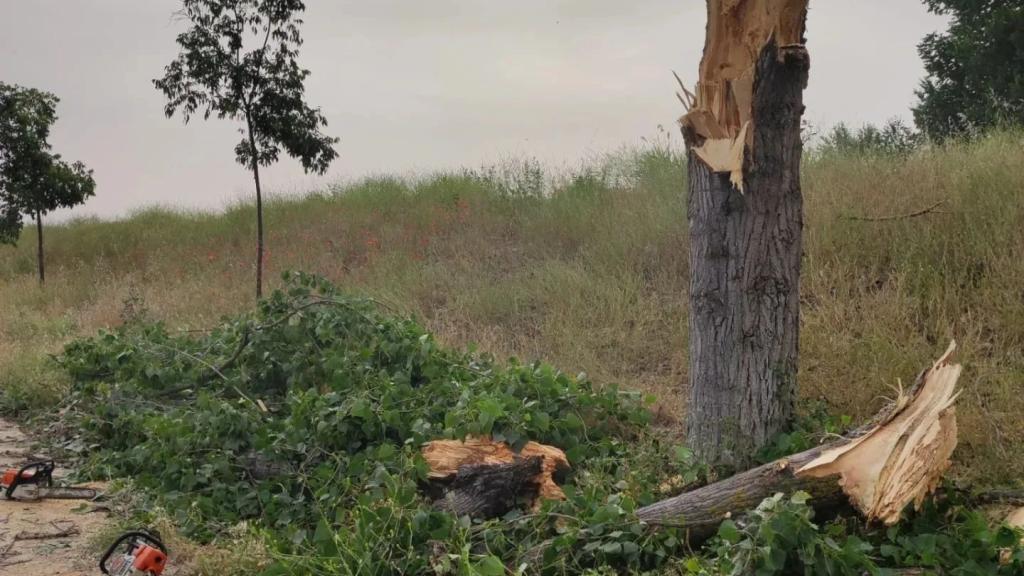 Foto: Bomberos de Toledo.