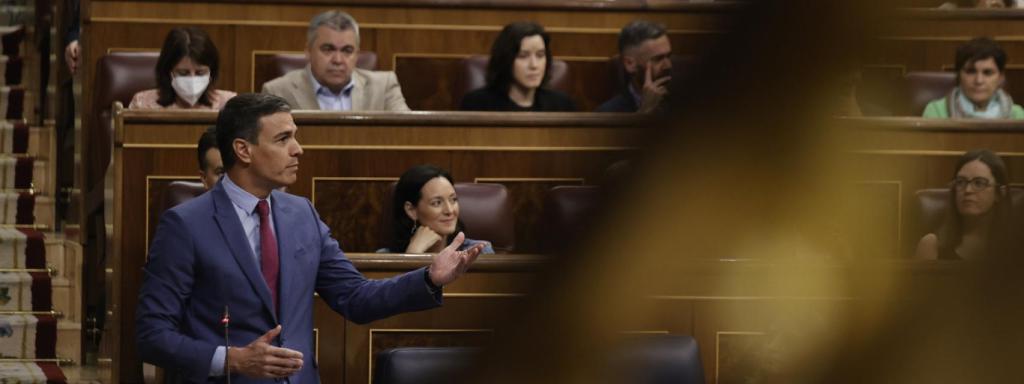 Pedro Sánchez en una sesión de control al Gobierno.