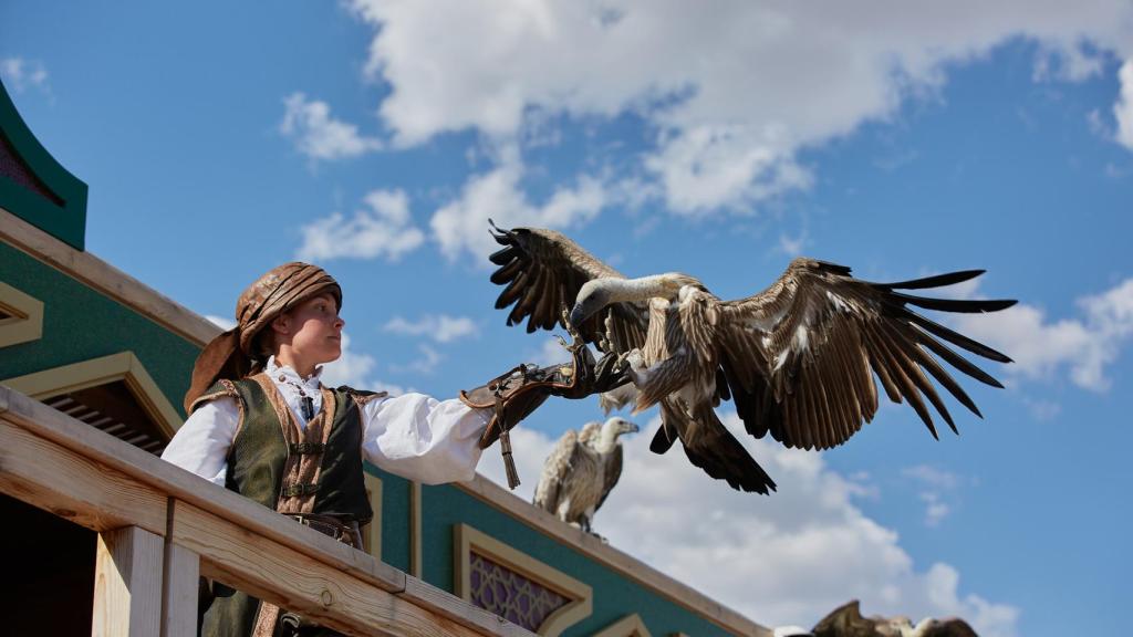 'Cetrería de Reyes'.