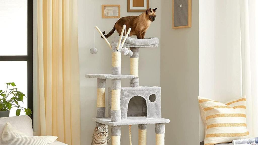 Los mejores rascadores para gatos