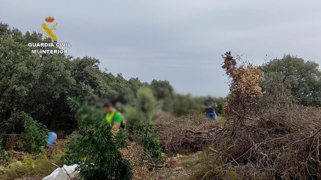 Otra imagen de la actuación de la Guardia Civil.