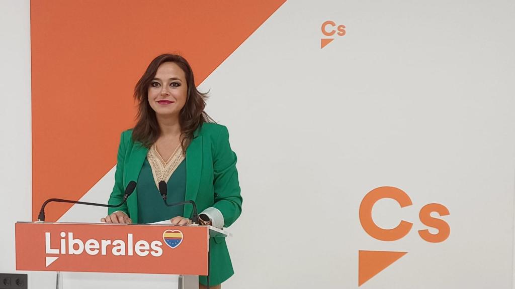 Villarroel: Exigimos a la Junta de Castilla y León que deje de engañar con los incendios