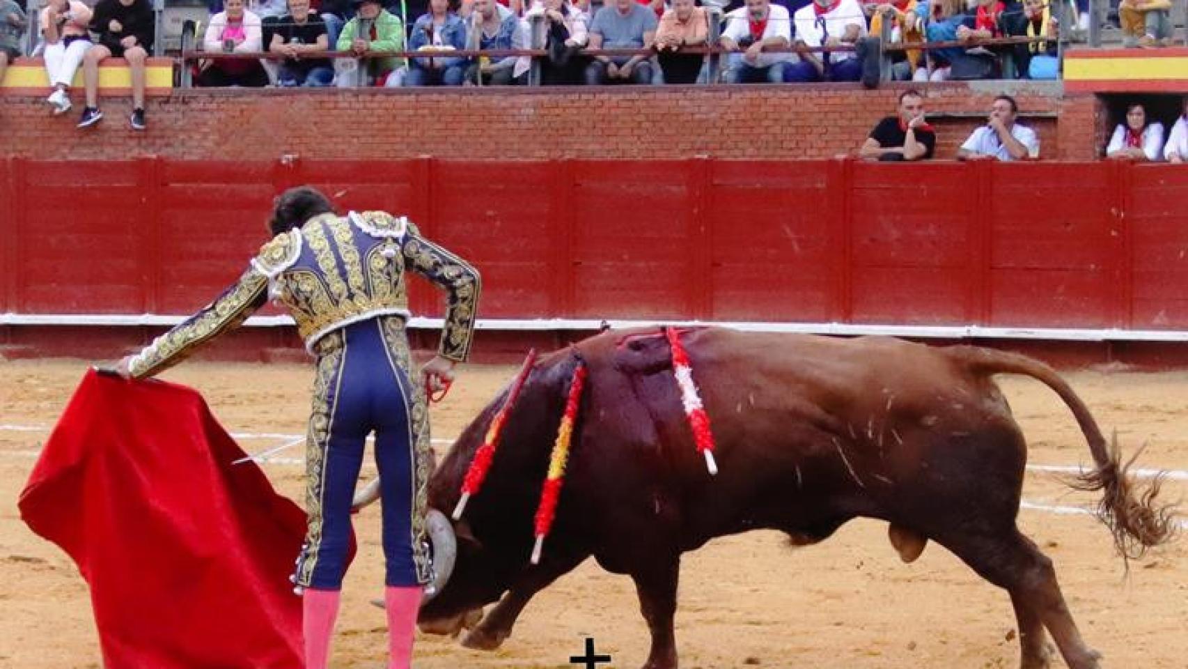 Fotogalería de la última feria de Tordesillas