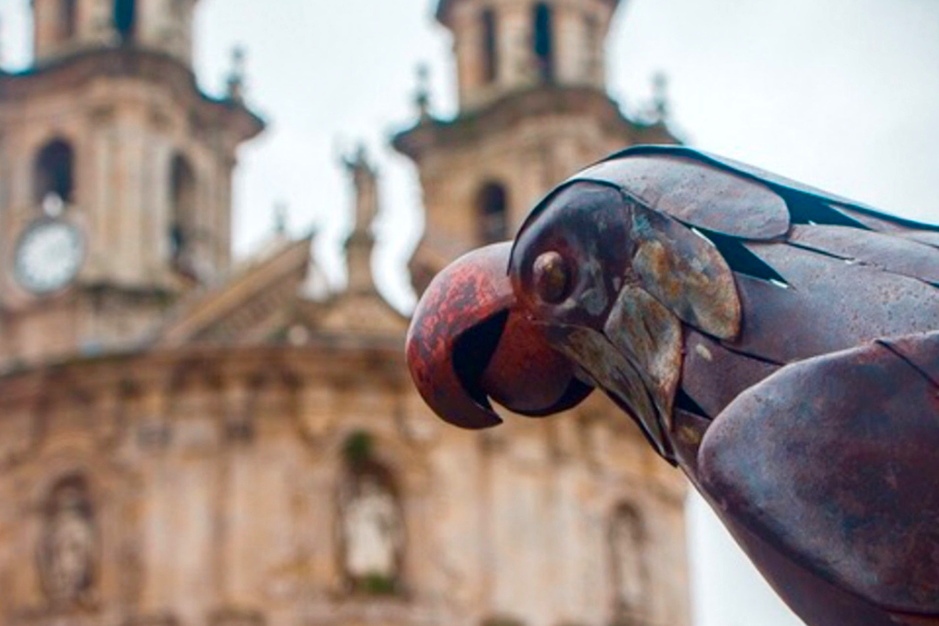 Loro Ravachol. Foto: Visit Pontevedra