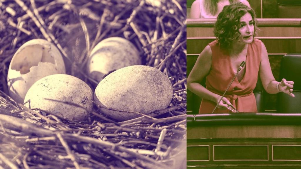 La ministra de Hacienda, María Jesús Montero.