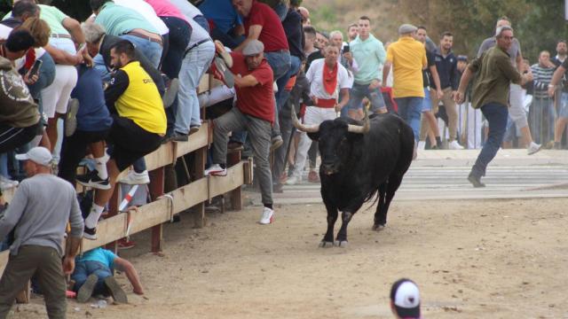 Imagen del encierro del Toro de la Vega de este año en Tordesillas