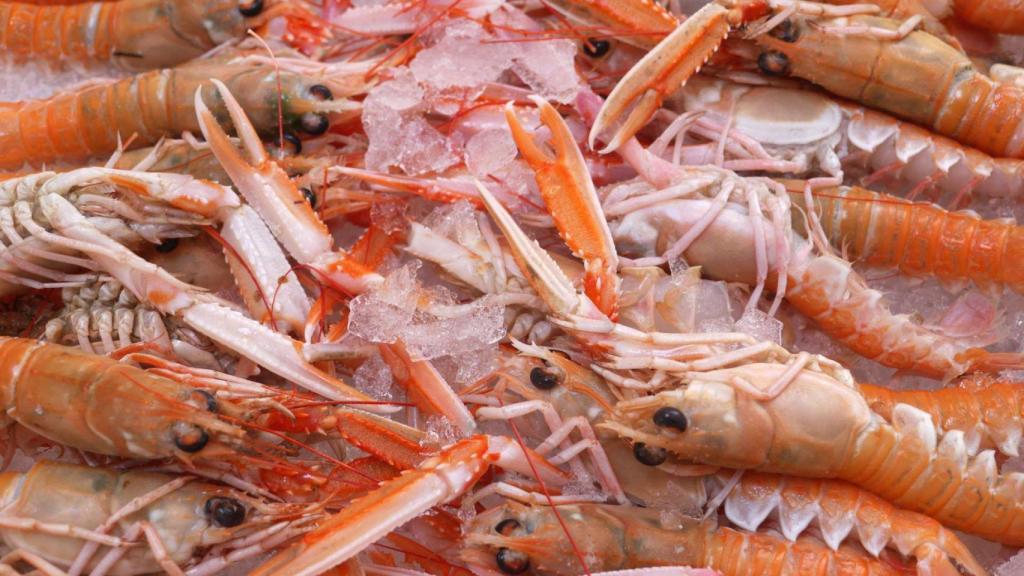 Imagen archivo de unas cigalas