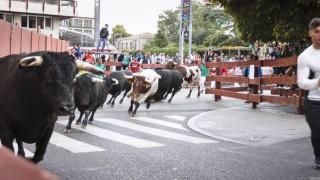Los encierros de Guadalajara vuelven al Casco Histórico: así será el nuevo recorrido inspirado en el siglo XIV